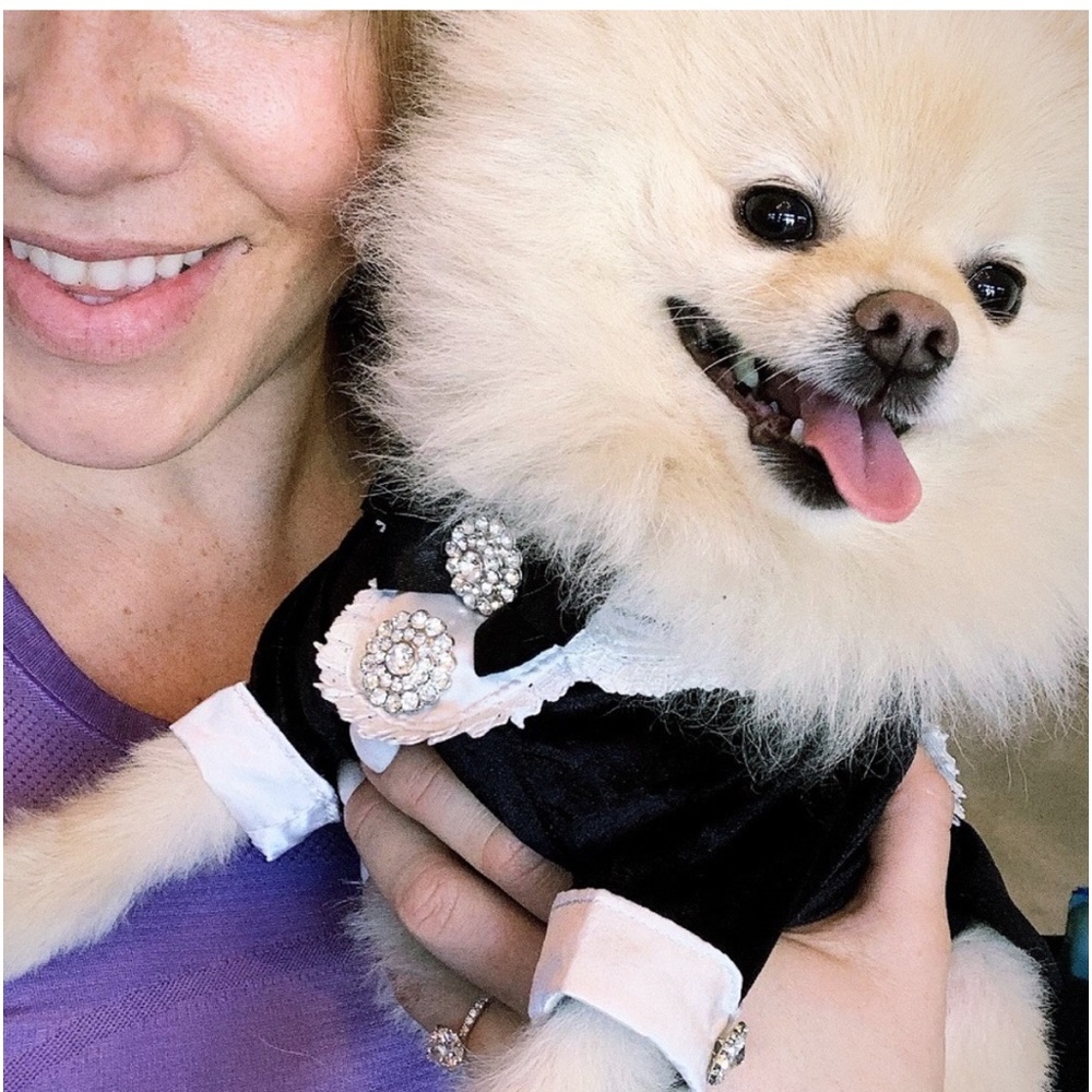 VANDERPUMP pets TUXEDO
